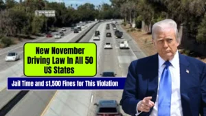New November Driving Law In All 50 US States